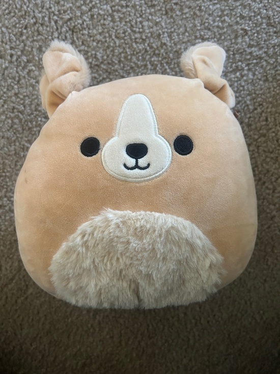 Squishmallows Other - Stevon  the Golden Retriever Squishmallow